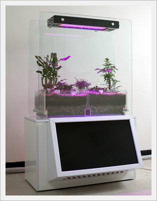 LED Plant Growth Controller -iFarm(Terariu...  Made in Korea